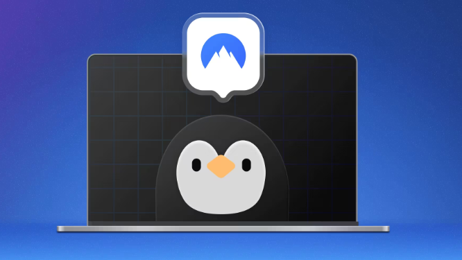NordVPN on Linux device, graphic