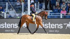 STONELEIGH-LEAD-SHOW-TIME_PETER-NIXON.jpg