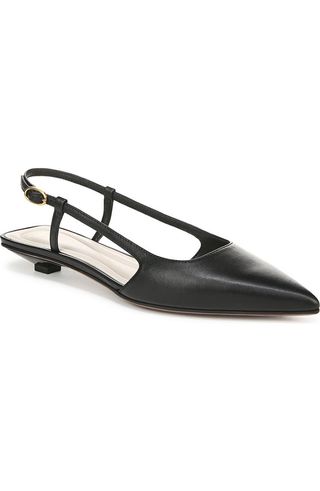 Pheby Slingback Pointed Toe Flat