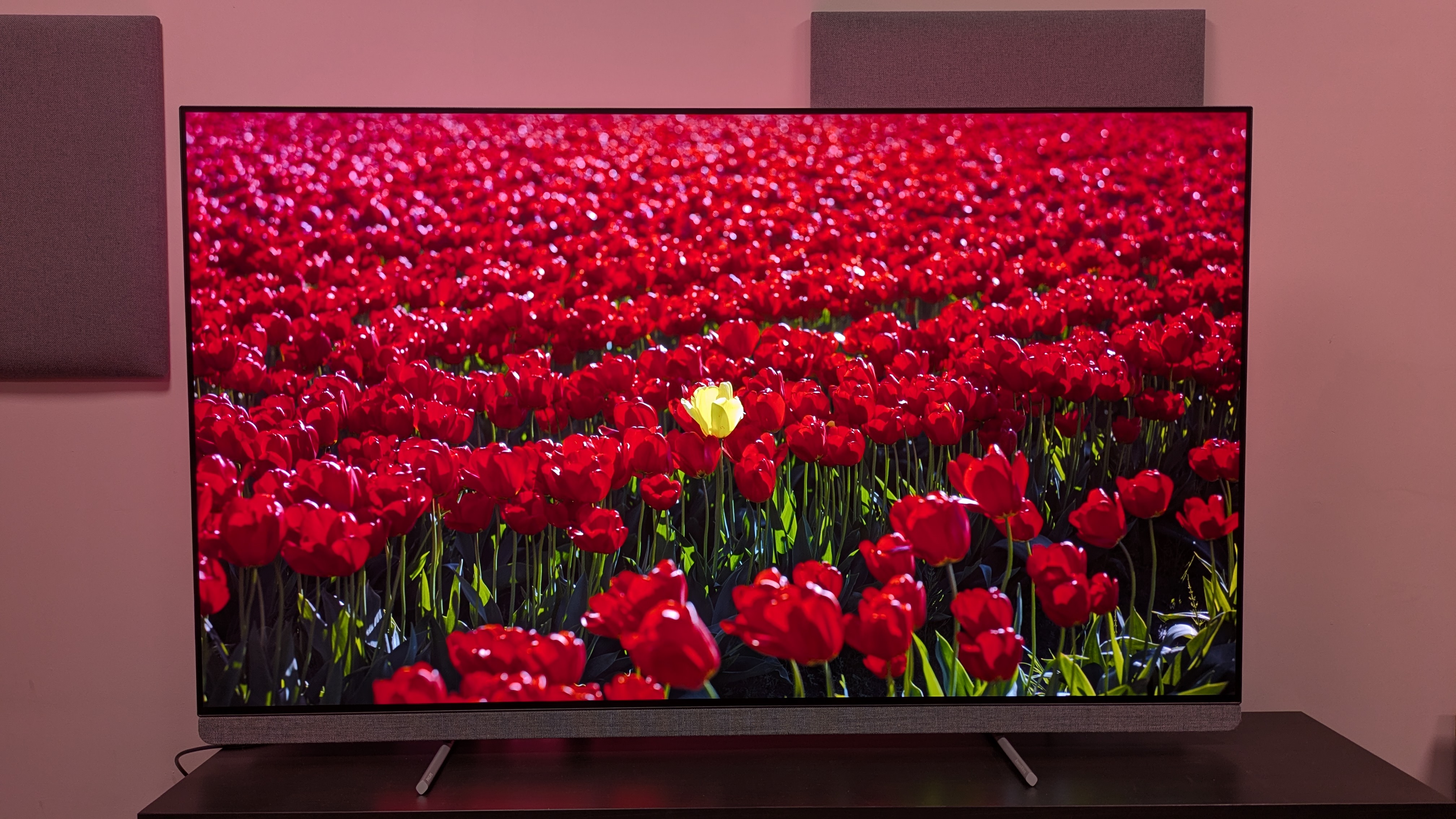 Philips OLED910 with red flowers on screen 