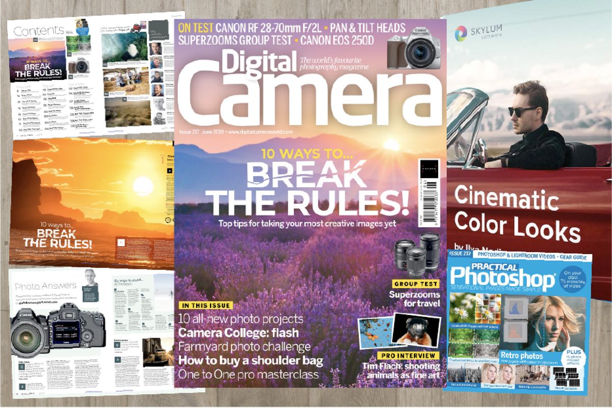 Digital Camera 217 cover bundle image