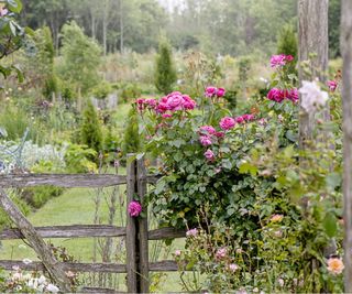 Cottage garden fence