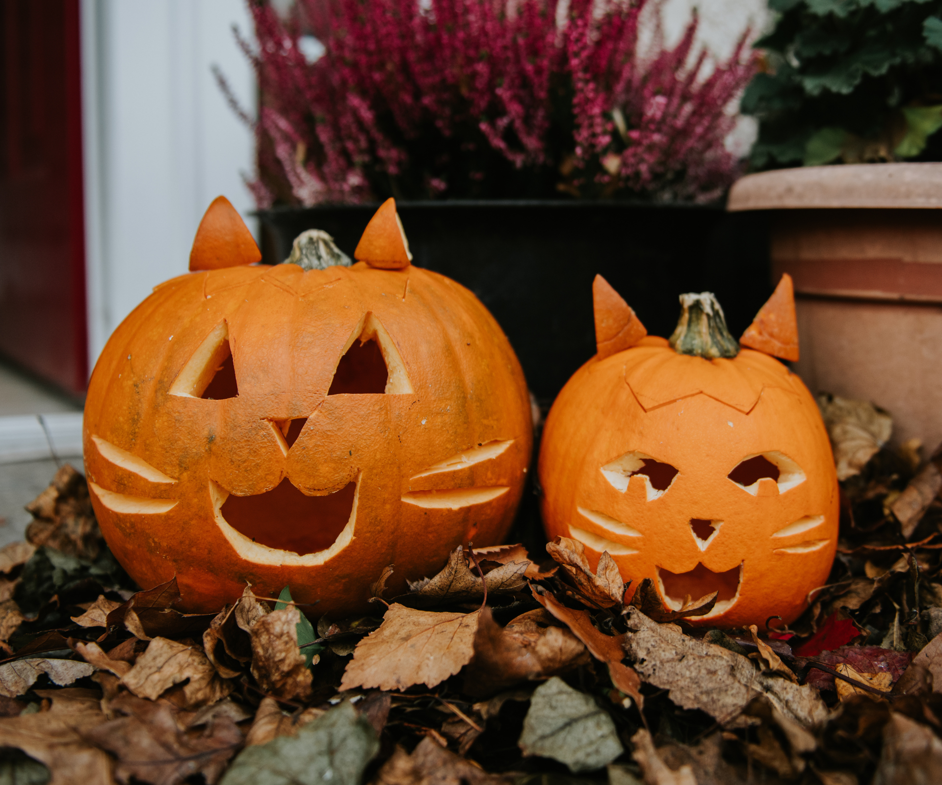 Two, cute, alternative carved Jack O' Lantern pumpkins sit on a front door step surrounded by fallen autumn leaves. They are cat themed, with cat faces carved, including ears and whiskers.