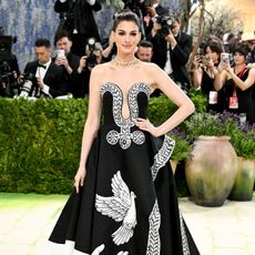 Anne Hathaway on the 2026 Met Gala red carpet