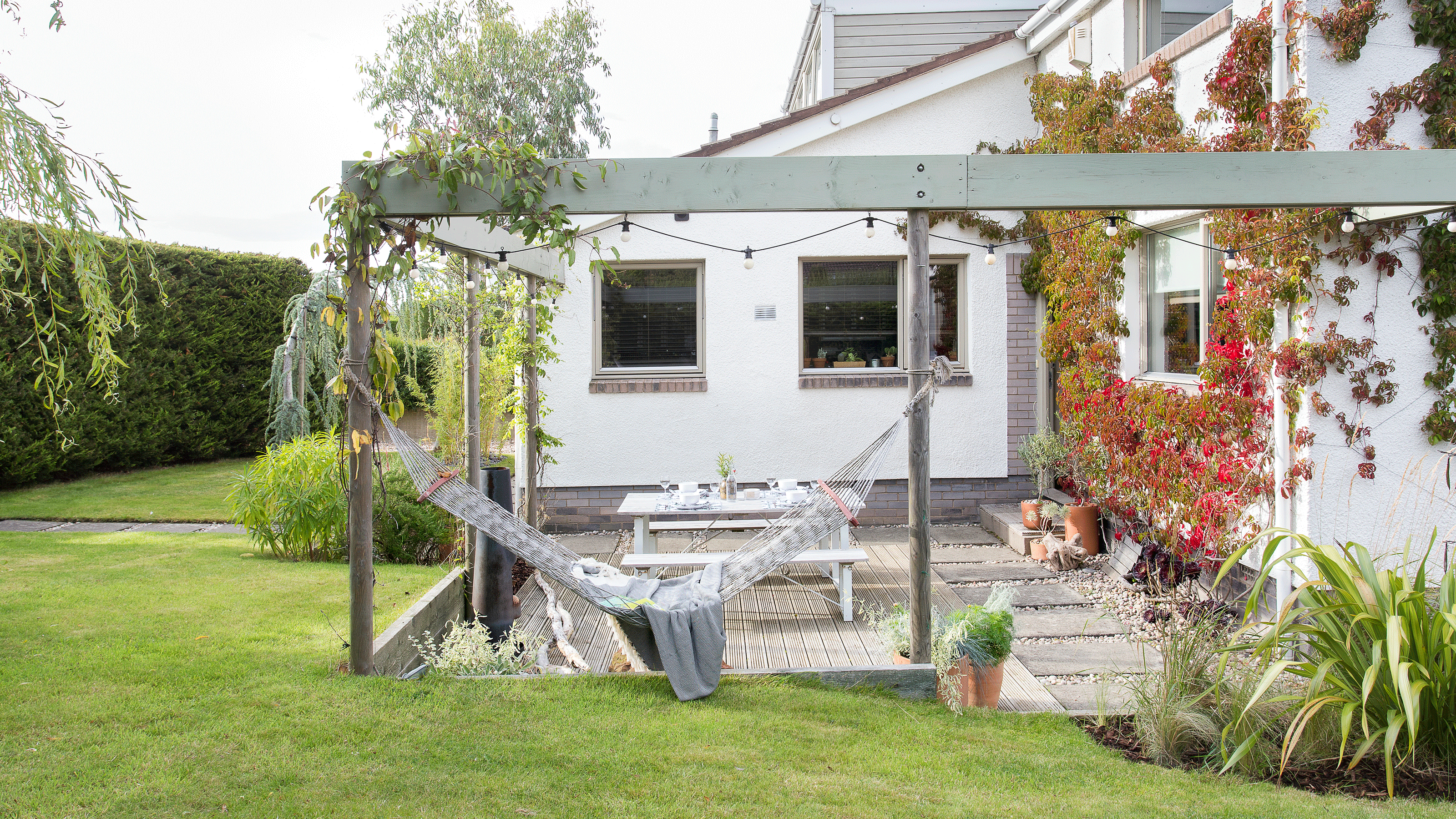 lawn with grass and shed with white door and window