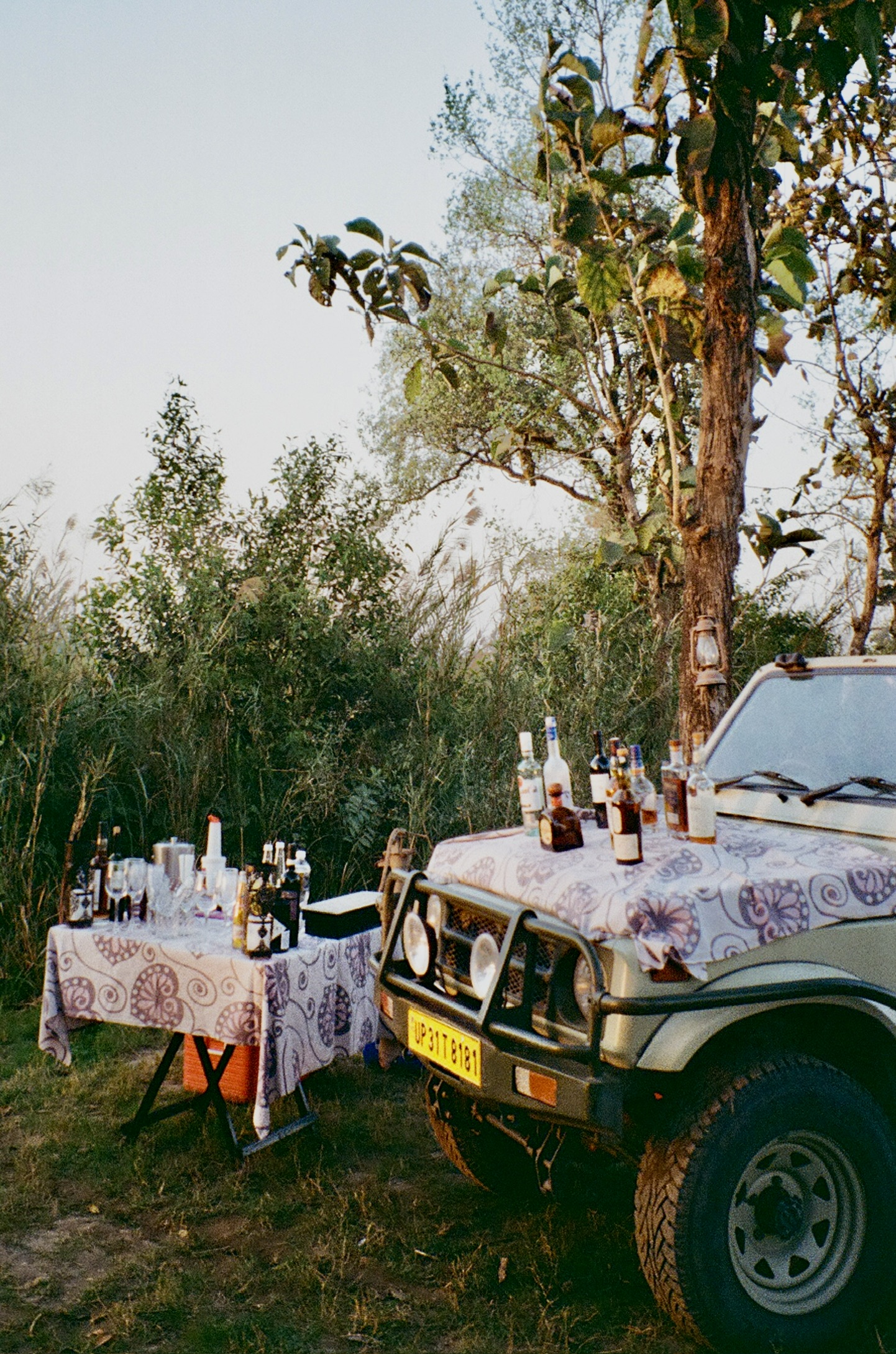 Utter Pradesh safari