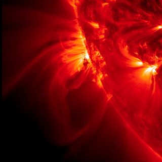 Sun Tight Loops Close-Up