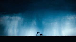 Silhouette of an elephant and a tree in the Masai Mara