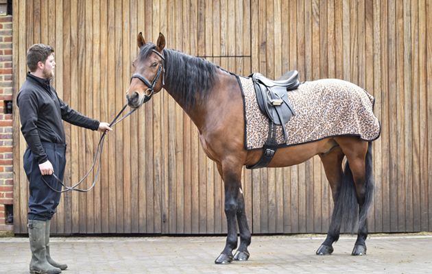 Snuggy Hood fleece exercise sheet review
