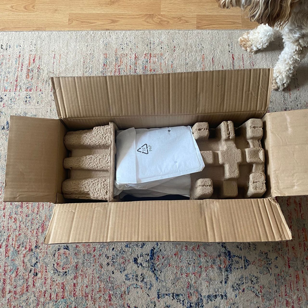 Open packaging of the MeaconSefte Tower Fan on a patterned rug, with my dog standing nearby