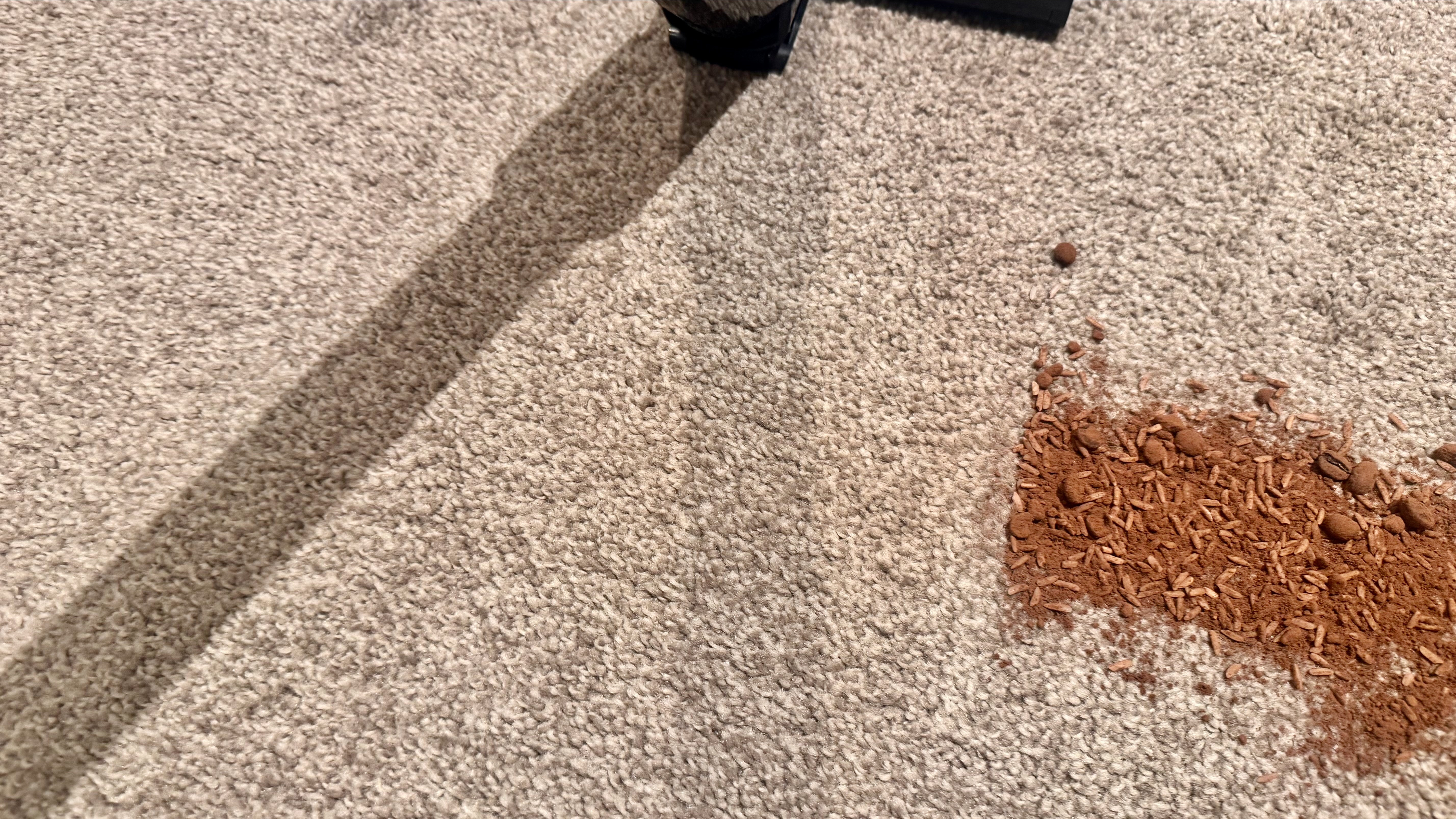 Debris spill being cleaned from a carpet