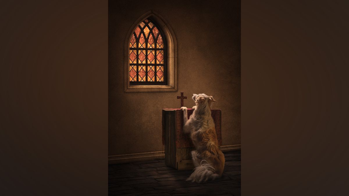 Dog praying at church altar.