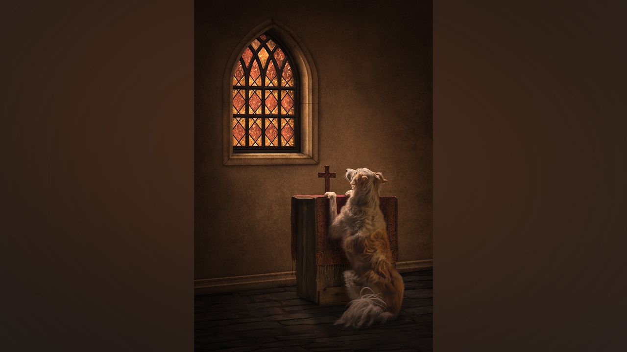 Dog praying at church altar.
