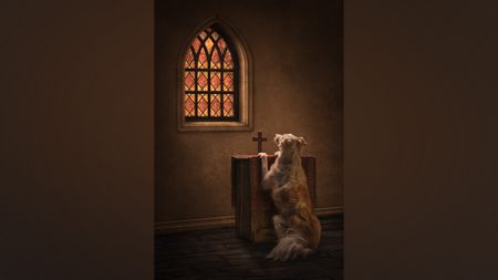 Dog praying at church altar. 