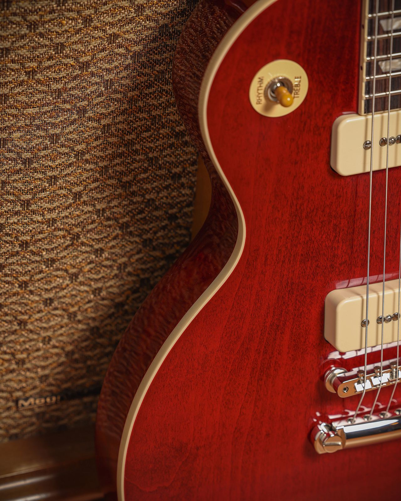 Warren Haynes Signature Gibson Les Paul Standard