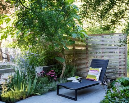 Patio planting ideas: 22 ways to add style and interest | Homes & Gardens