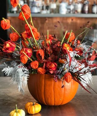 DIY pumpkin vase idea with with physalis, atomic roses, ghostly white asparagus fern, grevillea and pepperberries