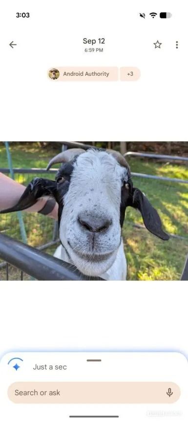 Ask button inside Google Photos photo viewer