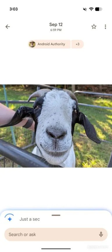 Ask button inside Google Photos photo viewer