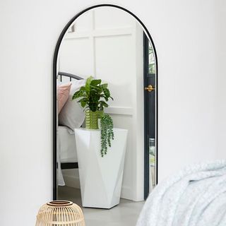 mirror with houseplants