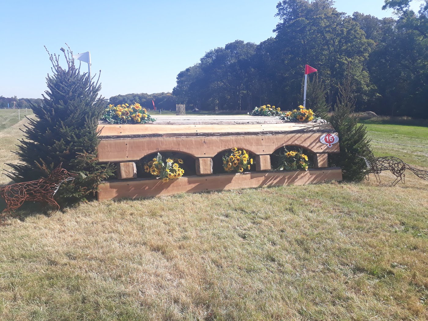 Fence 16