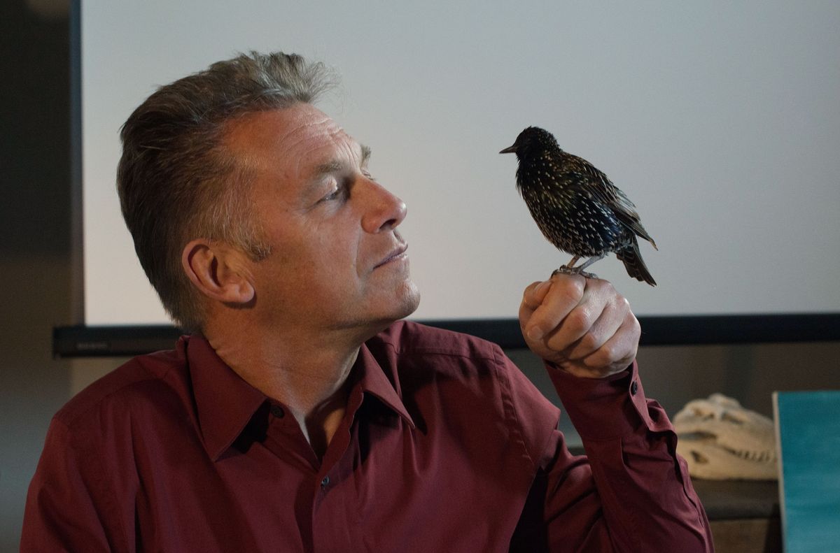 Chris Packham