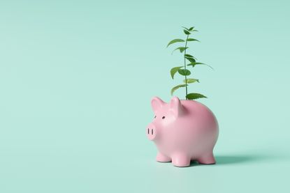 Piggy bank regular savings account concept