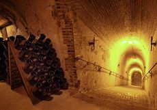 Celebris 2004 release