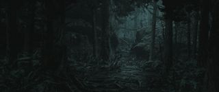 Alan Wake 2 concept art bright fall woods Remedy
