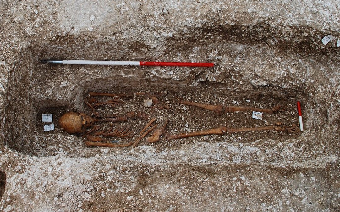 A strain of leprosy, found in this skeleton of a medieval pilgrim at a UK burial site, has been genotyped.