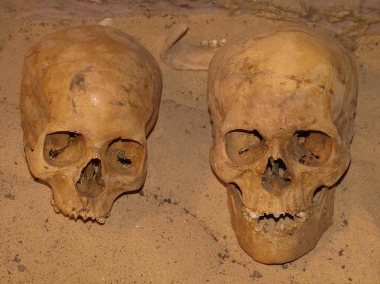 Egyptian skulls from necropolis