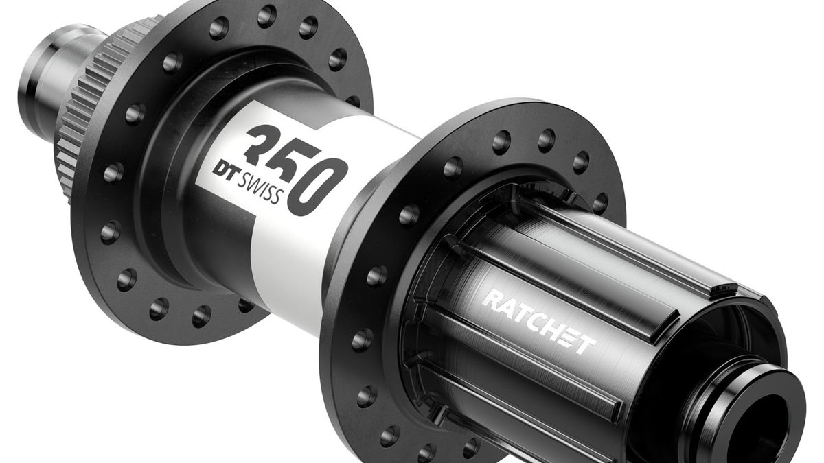 DT Swiss 350 hub detail