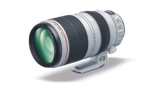 Best 100-400mm lens: Canon EF 100-400mm f/4.5-5.6L IS II USM