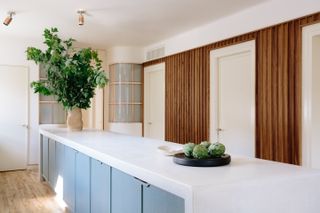 A white kitchen island with light blue cupboard doors and a potted plant on top of it.