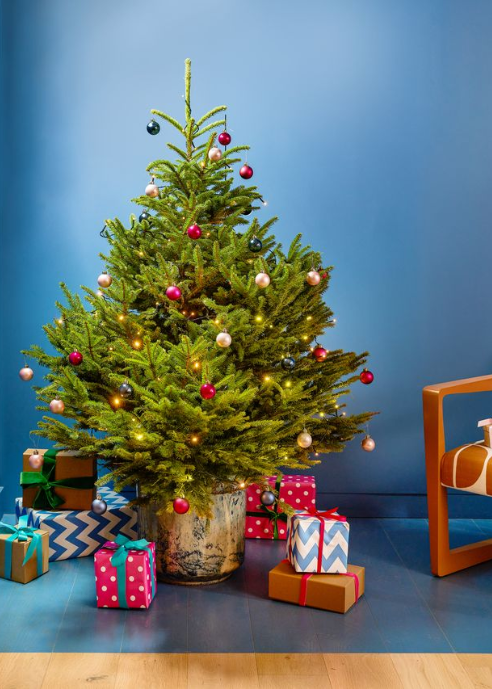 A potted Christmas tree with baubles by wrapped presents in a blue room