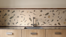 a mosaic splashback done in the style of the ancient roman unswept floor