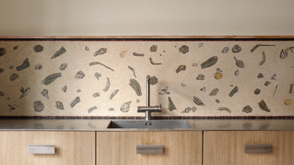 a mosaic splashback done in the style of the ancient roman unswept floor