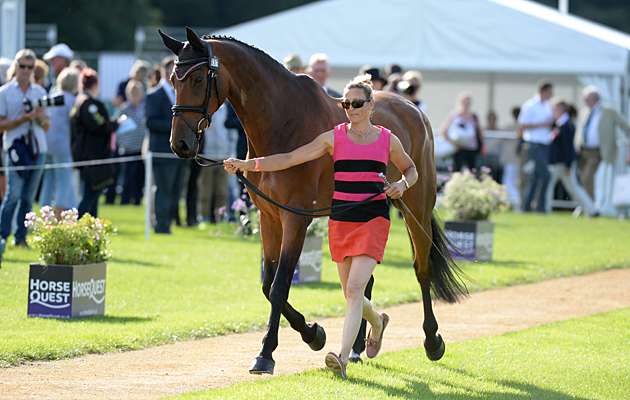 Burghley trot-up fashion Sarah Bullimore