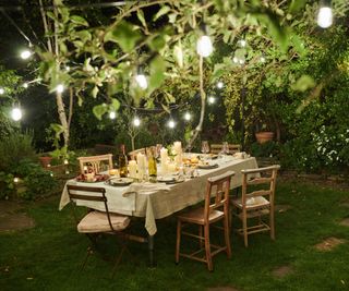 dining table in garden with overhanging branches and string lights
