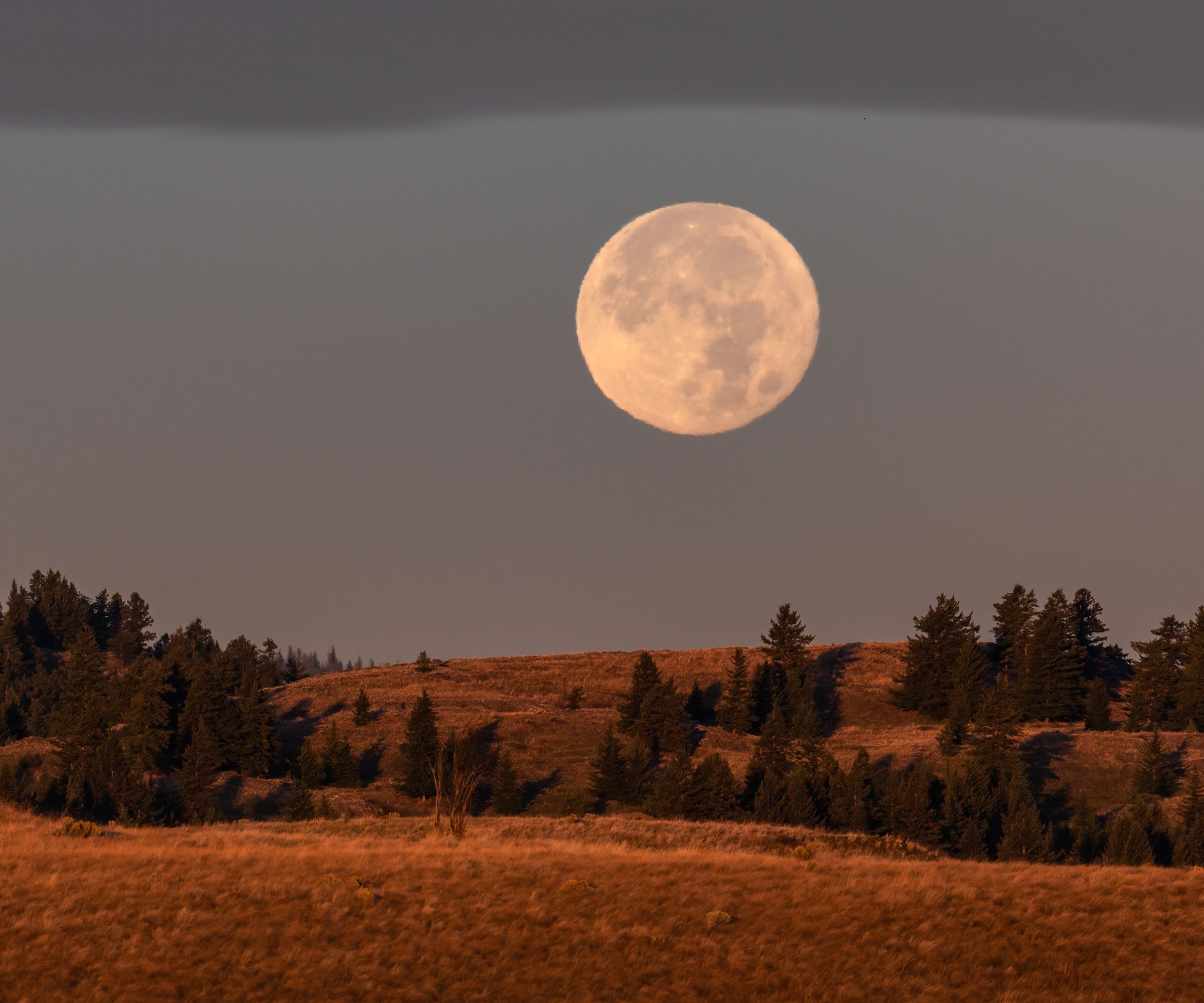 A full Fall Harvest Moon sets over farmland in Kamloops, BC