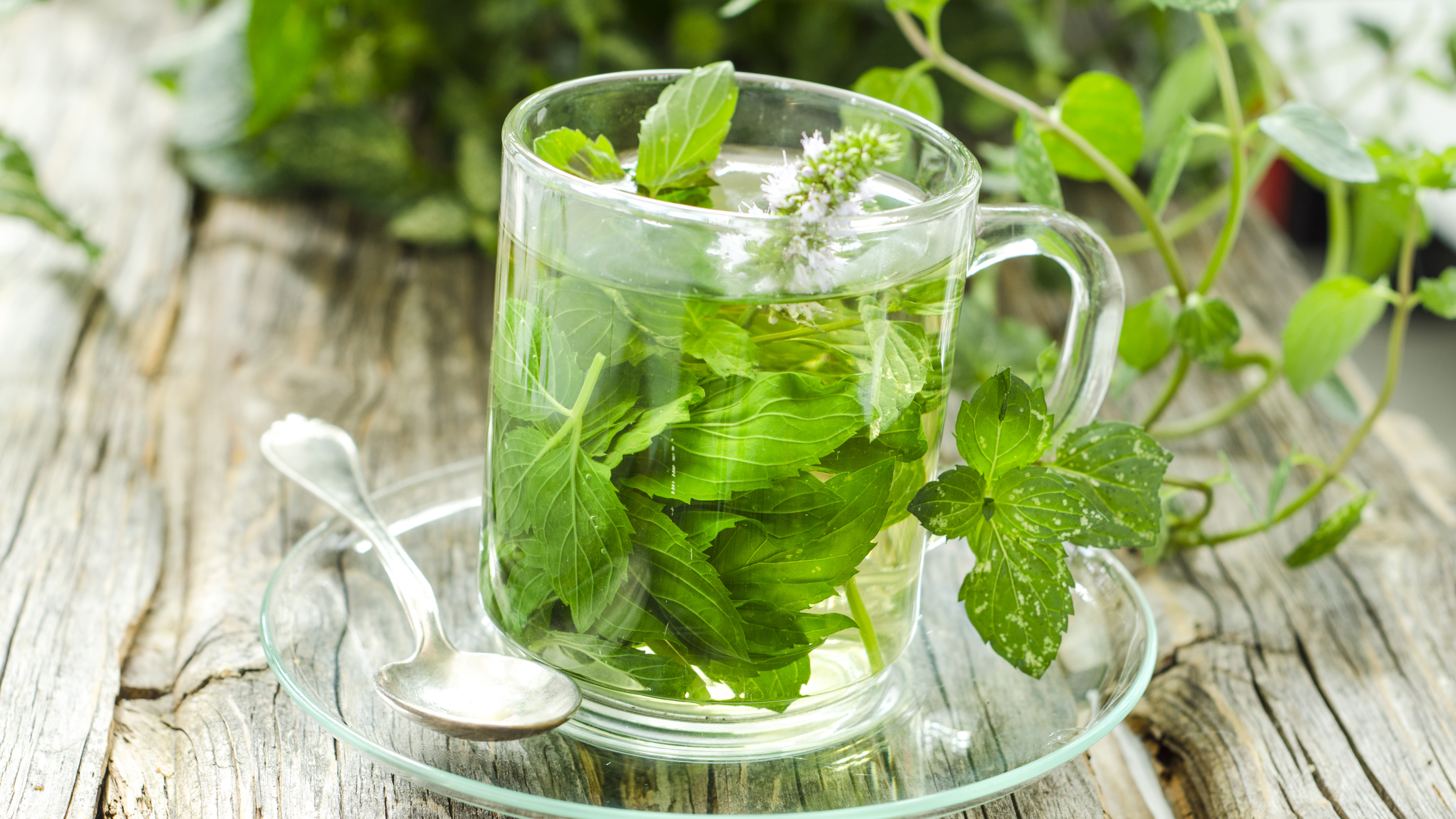 Buy Friggs Herbal Tea - Peppermint From Sweden Online - Made in Scandinavian