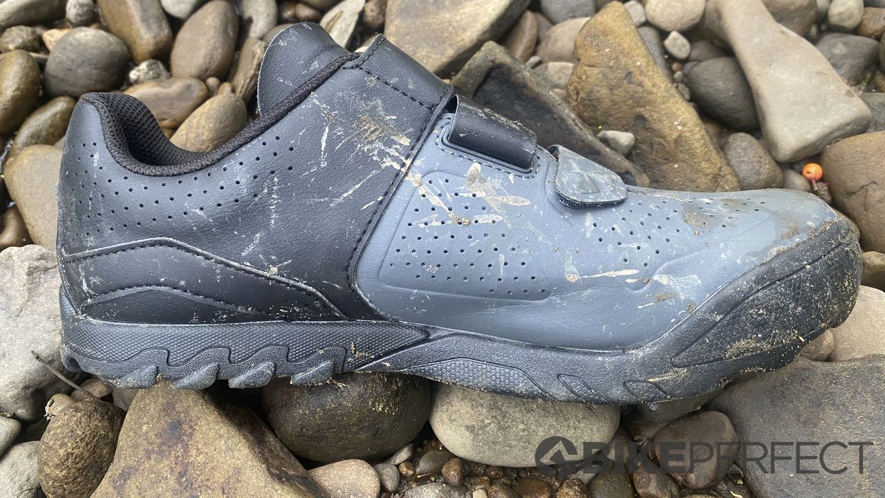 Giant Line shoe review