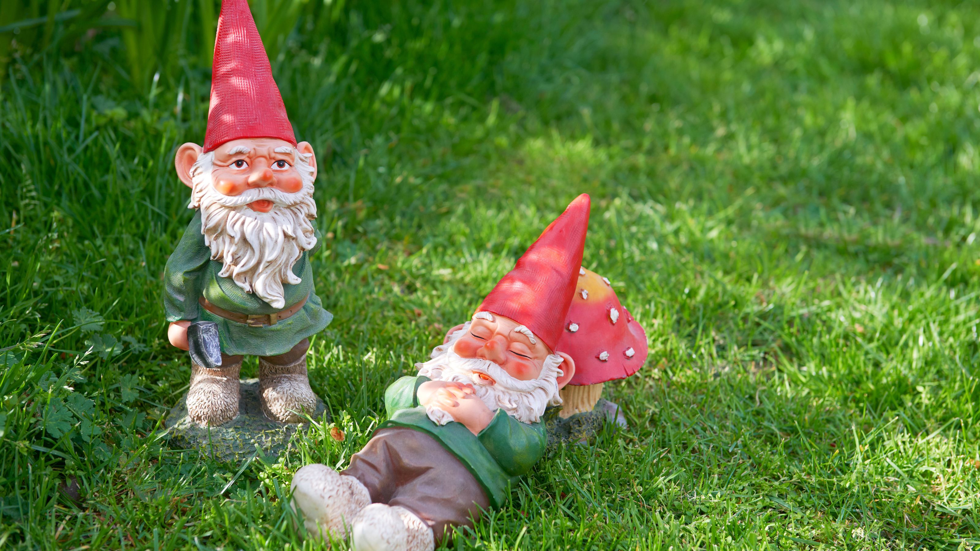 Garden gnomes