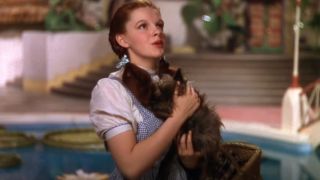Judy Garland holding her dog in Oz in The Wizard of Oz.