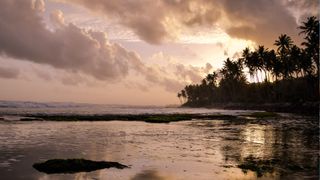 Madiha Beach, Sri Lanka