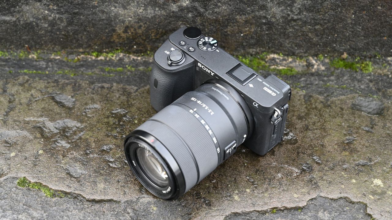 Sony A6600