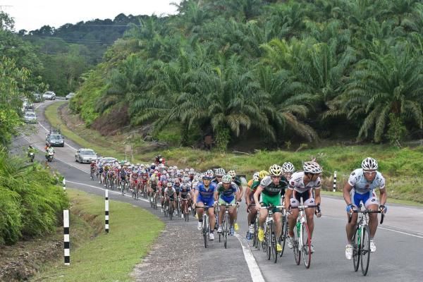 The peloton on stage 3 of Jelajah Malaysia.