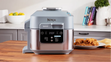 Ninja Speedi 10-in-1 Rapid Cooker and Air Fryer ON400UK