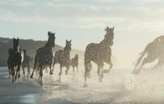 Lloyds Bank advert horses