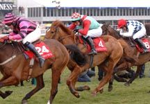 cheltenham4.jpg